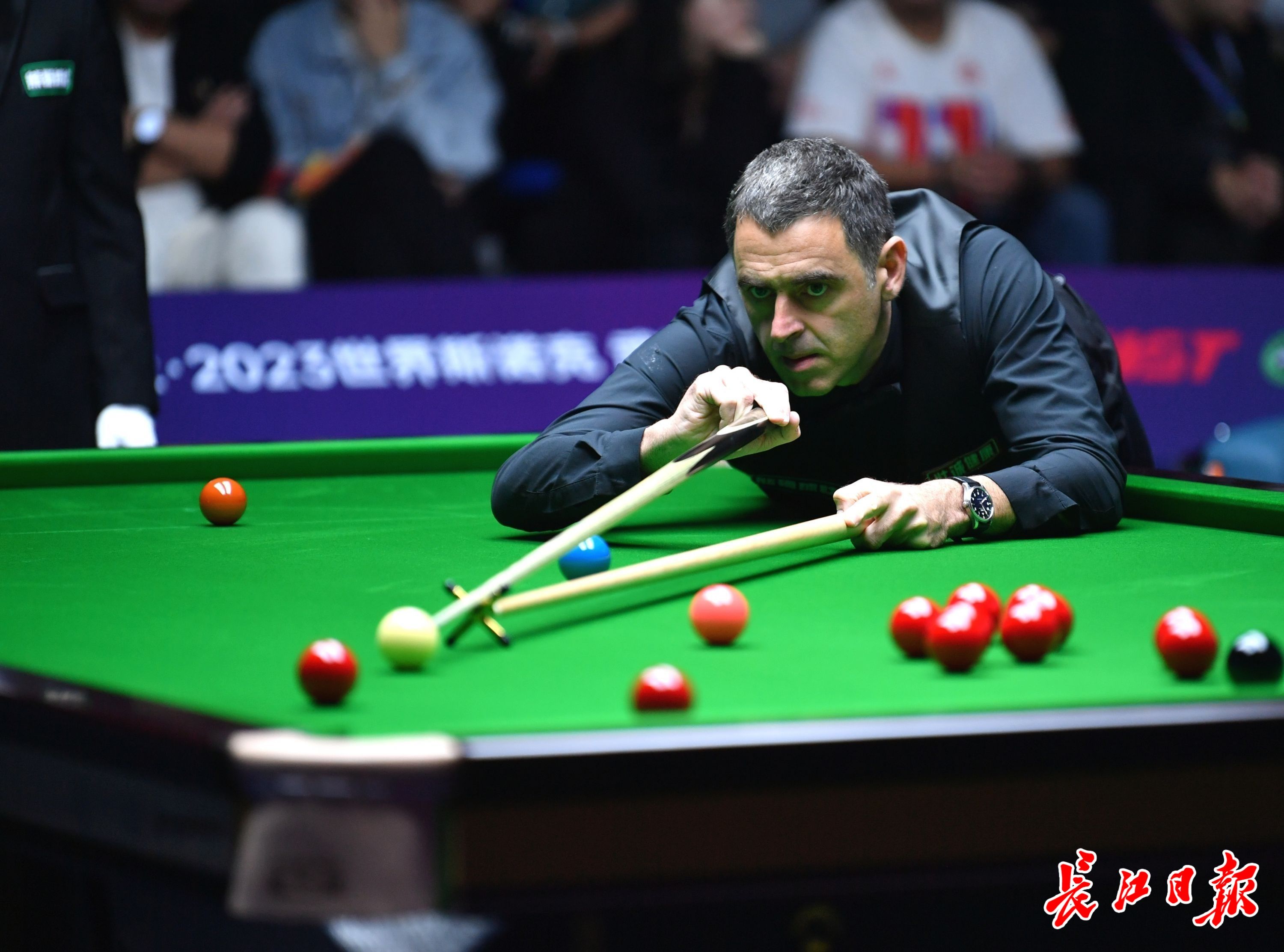 谢奥菲勒 谢奥菲勒